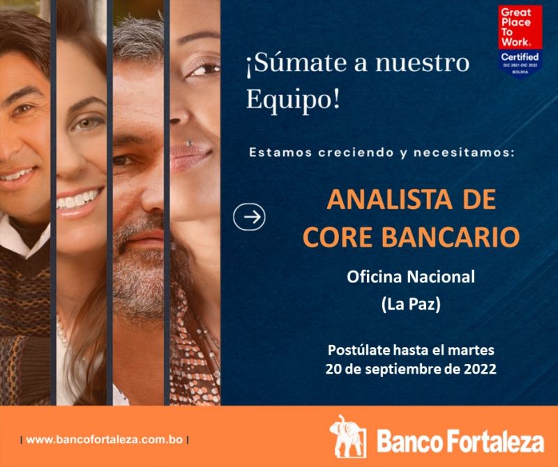 ANALISTA