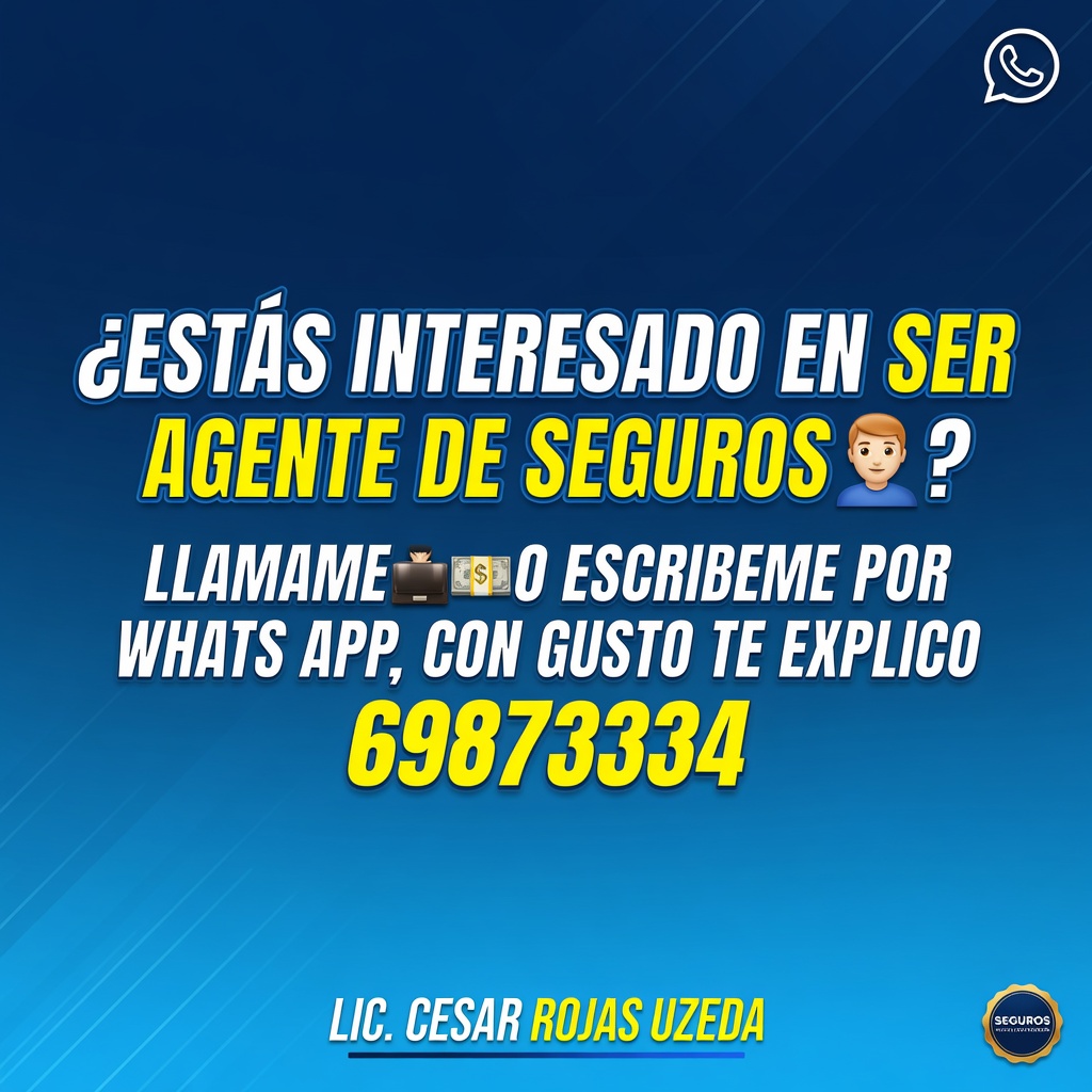 AGENTE DE SEGUROS 