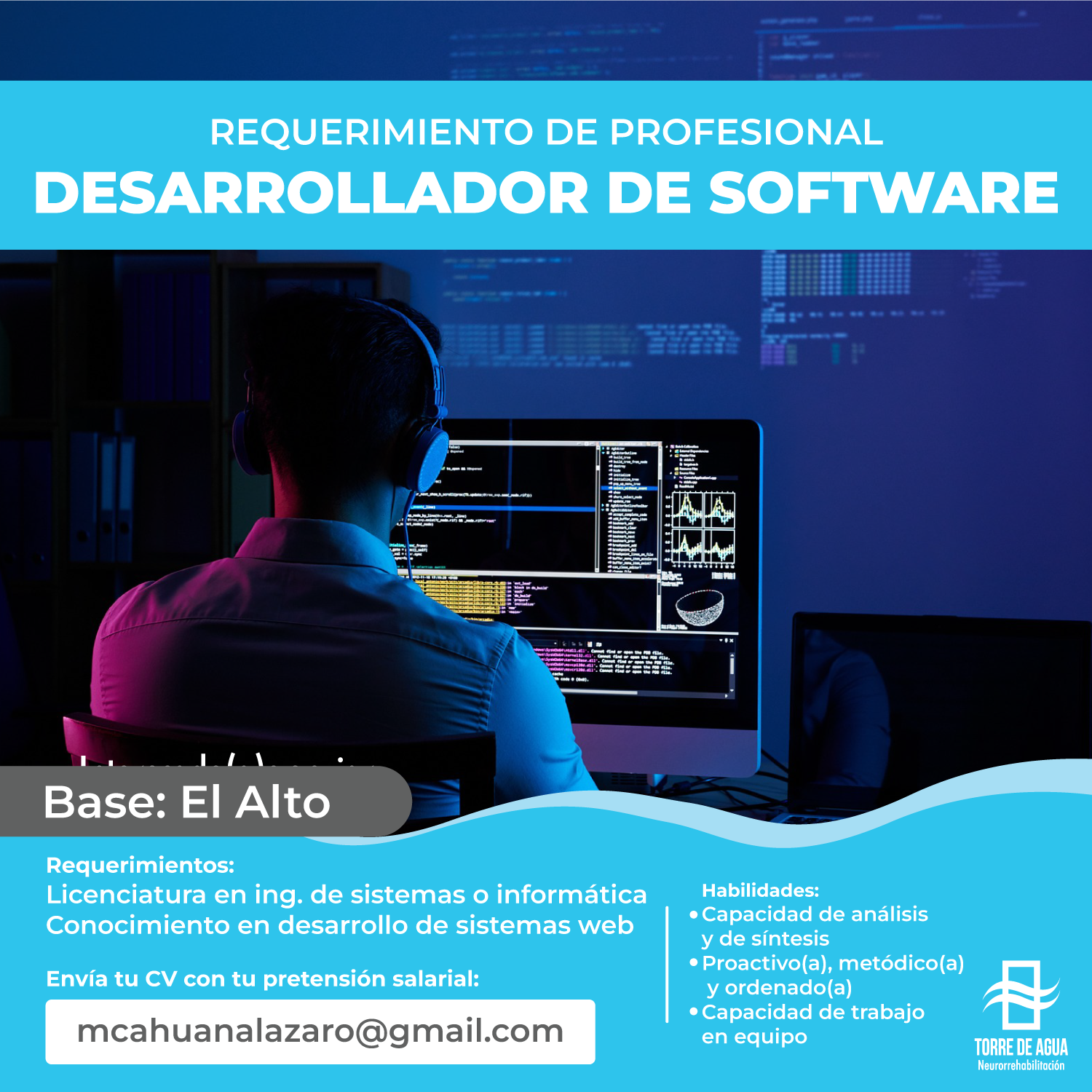 Desarrollador de software