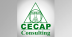 CECAP Consulting - Entrenamiento De Consultores