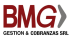 BMG Gestión & Cobranza SRL 