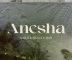 Anesha Nails & Beauty Bar