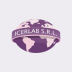 ICERLAB S.R.L.
