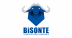 Bisonte Construcción e Ingeniería
