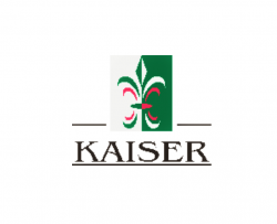 Kaiser Servicios