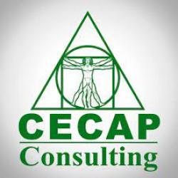 CECAP Consulting - La Paz