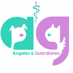 Servicios Veterinarios Angeles y Guardianes