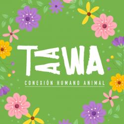 Centro TAAWA