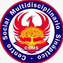 Centro Social Multidisciplinario Sináptico CSMS - On line