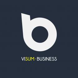 Visum Business