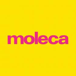 Moleca Bolivia Oficial