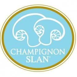 Champignon Slan 