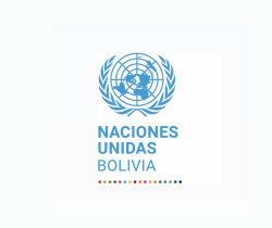  ONU Bolivia