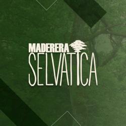 Maderera Selvatica SRL 