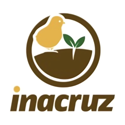 INACRUZ