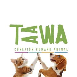 Centro TAAWA