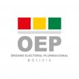 Tribunal Supremo Electoral