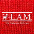 L.A.M Bolivia 