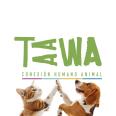 Centro TAAWA