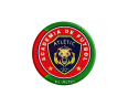 Atlétic Leones El Alto