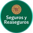 Seguros y Reaseguros Mercantil Santa Cruz