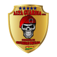 Alta Guardia S.R.L.