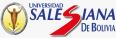 SOCIEDAD SALESIANA