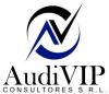 AUDIVIP CONSULTORES SRL